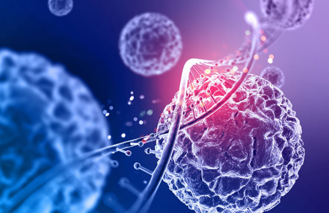 Liệu pháp tế bào gốc là cách trẻ hoá toàn diện được nhiều người quan tâm