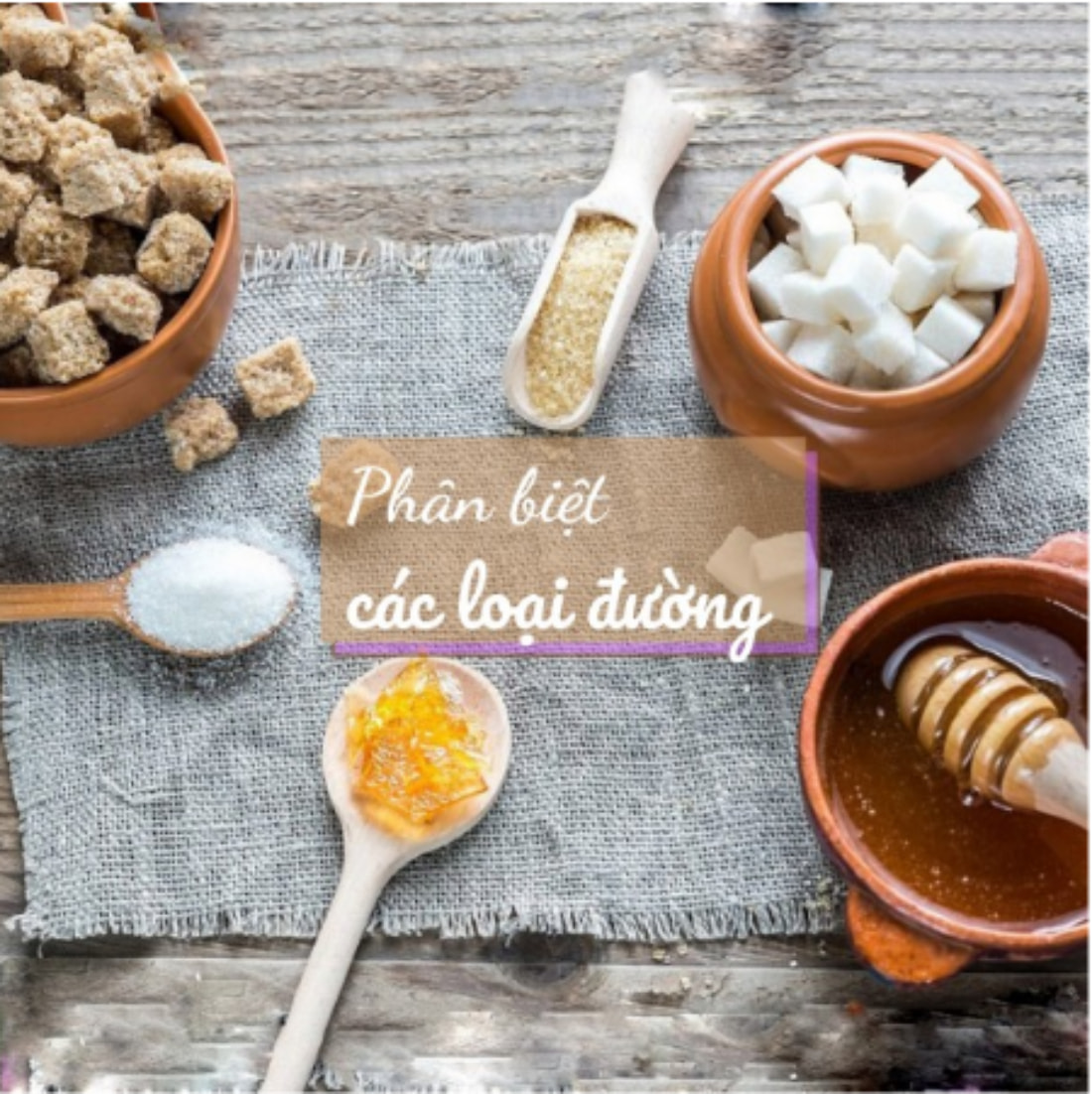 Phân loại đường