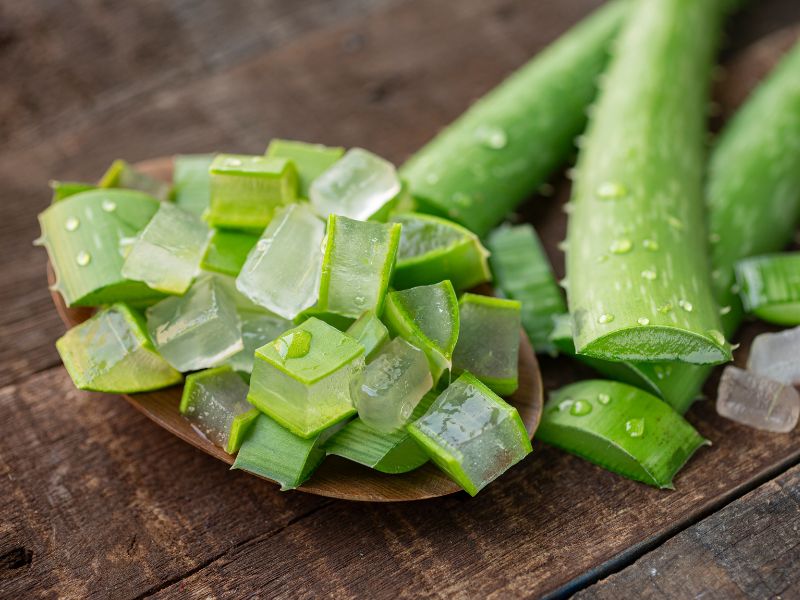 Nha đam chứa nhiều vitamin và khoáng chất giúp tối ưu quá trình chống lão hóa của cơ thể
