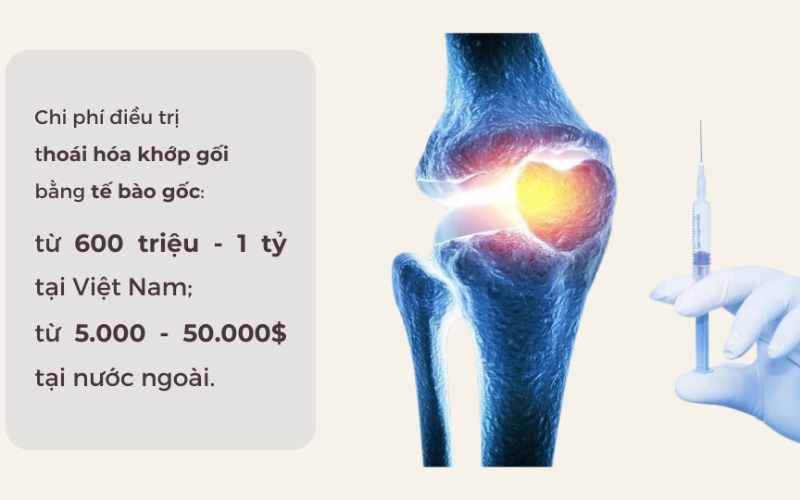 Chi phí liệu pháp tế bào gốc tại Việt Nam khá cao bởi cần gửi mẫu ra nước ngoài