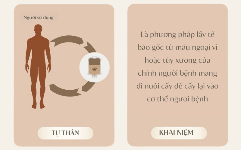 Ghép tế bào gốc tự thân là hình thức lấy tế bào gốc từ máu ngoại vi hoặc tủy xương của chính người bệnh