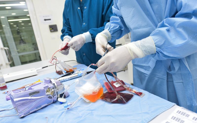 Người bệnh sẽ được lấy máu và phân tách, chọn lọc tế bào NK