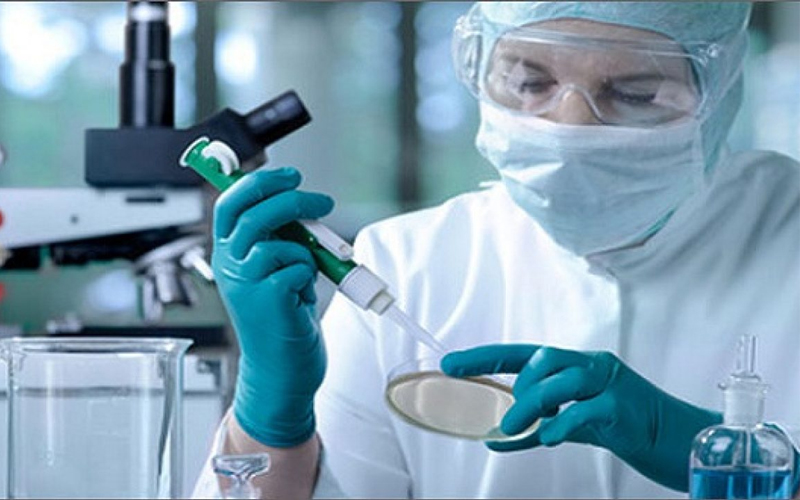 Việc cấy ghép tế bào gốc tủy xương được thực hiện dựa trên khả năng tái tạo hệ thống máu