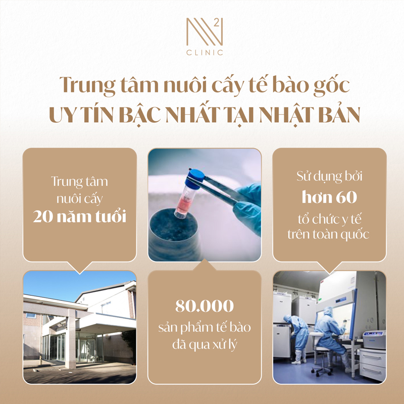 Tế bào gốc điều trị xơ gan tại N2 Clinic