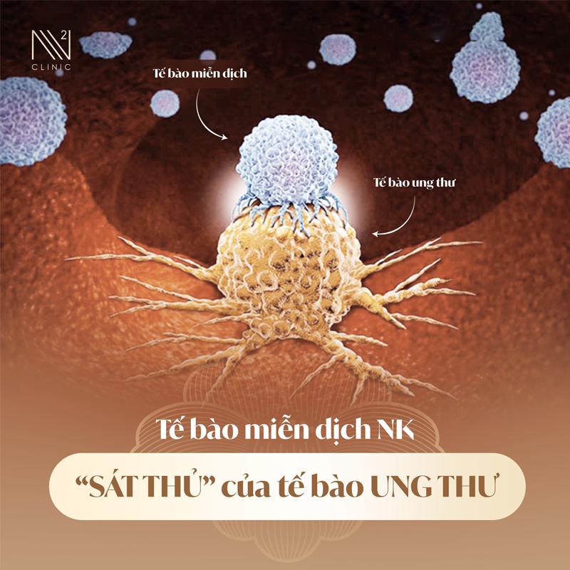 Xét nghiệm đo hoạt tính tế bào NK