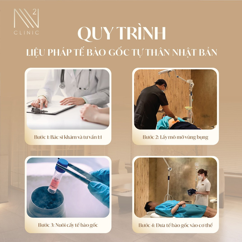 Quy trình ghép tế bào gốc tự thân